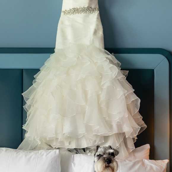 Used - Picture 4 of 6